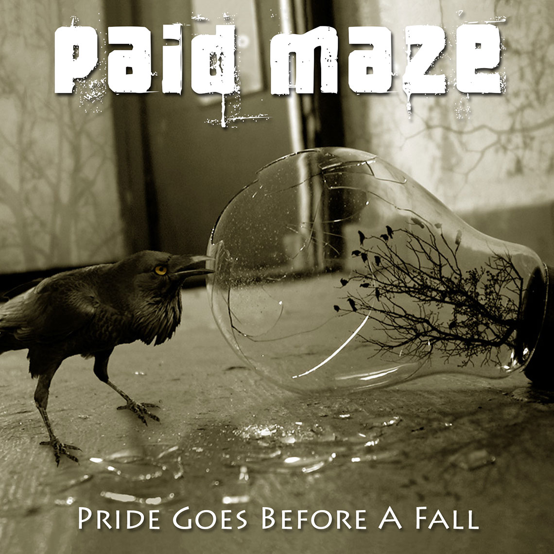 Paid Maze Album Pride Goes Before A Fall